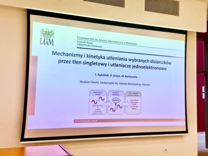 V Seminarium Wydziałowe - prof. UAM dr hab. Tomasz Pędziński
